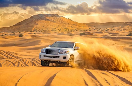 dune bashing desert safari